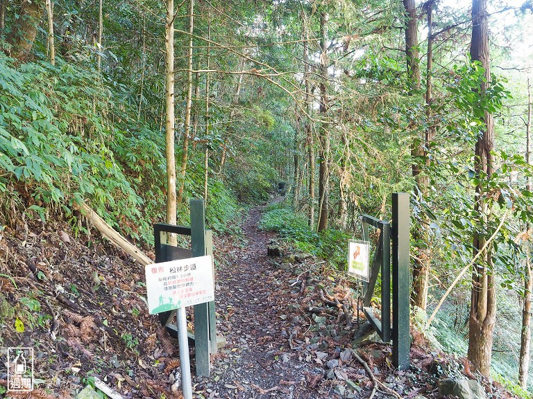 八仙山國家森林遊樂區