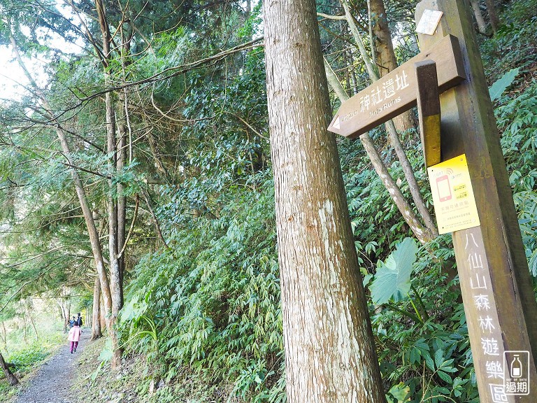 八仙山國家森林遊樂區