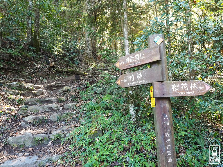 八仙山國家森林遊樂區