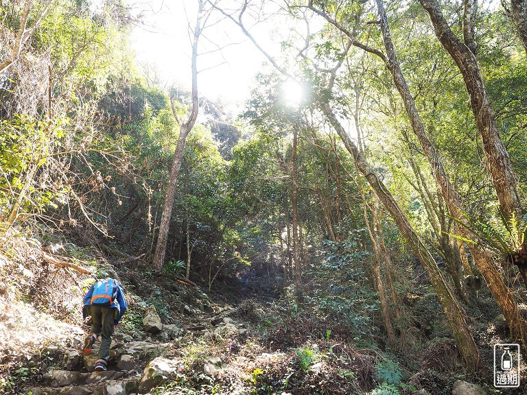 八仙山國家森林遊樂區