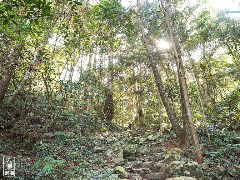 八仙山國家森林遊樂區