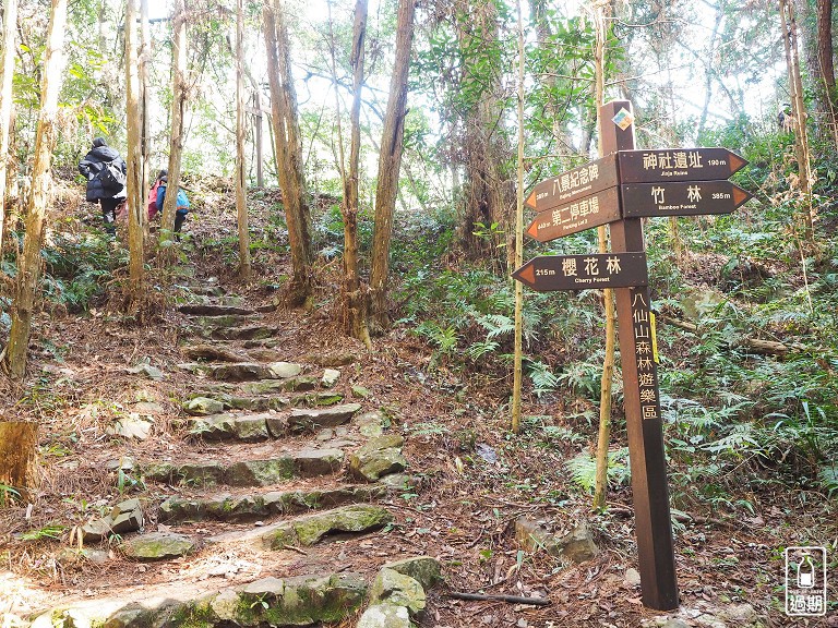 八仙山國家森林遊樂區