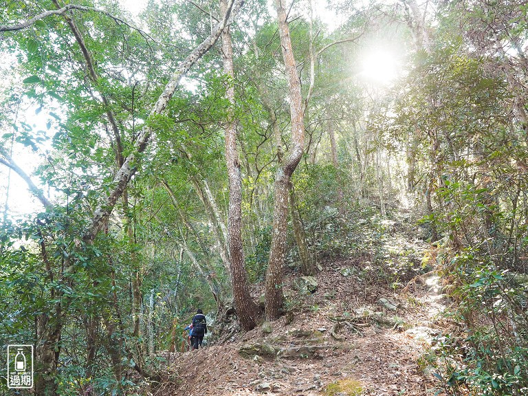 八仙山國家森林遊樂區