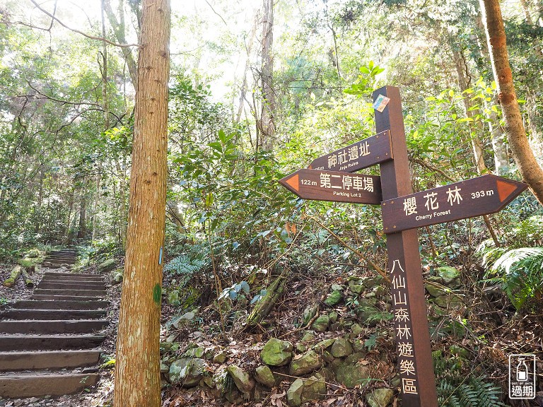 八仙山國家森林遊樂區