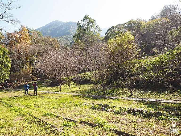 八仙山國家森林遊樂區