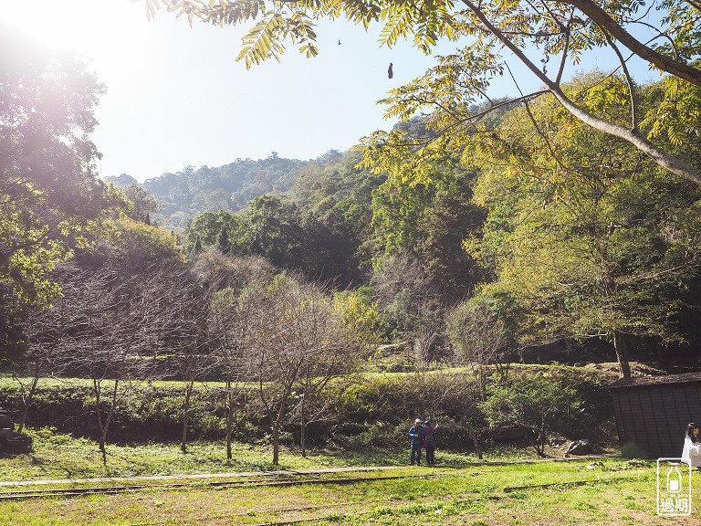 八仙山國家森林遊樂區