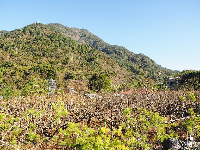 菘畫居露營會館