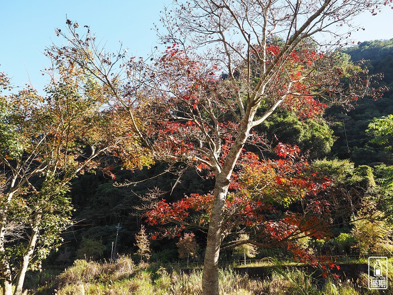 菘畫居露營會館