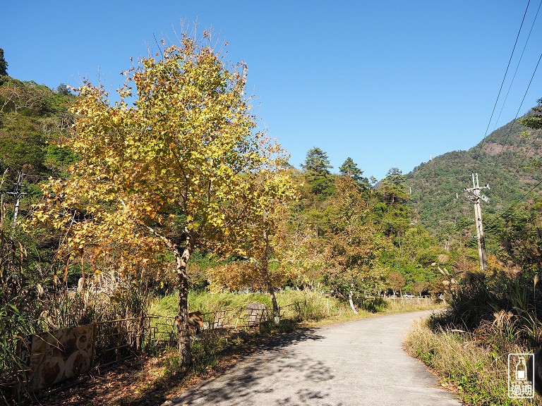 菘畫居露營會館