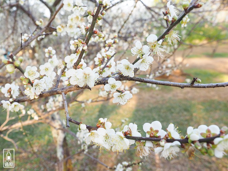 角板山行館