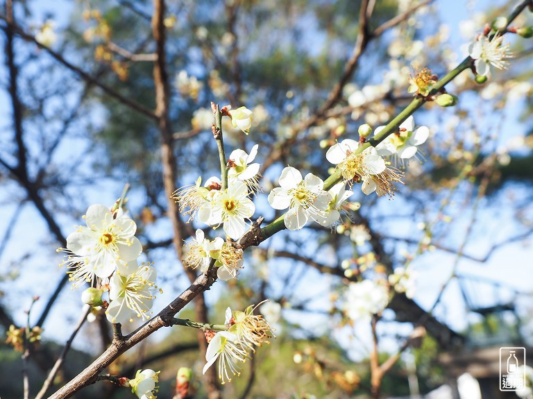 角板山行館