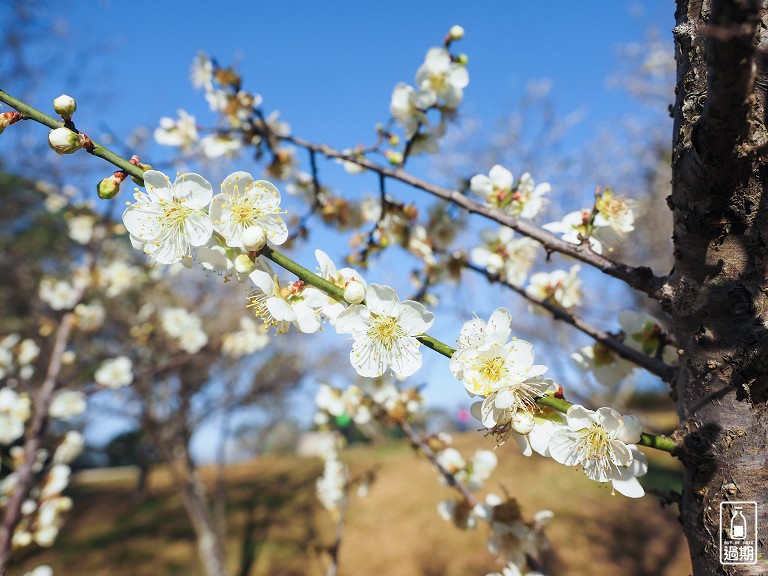 角板山行館