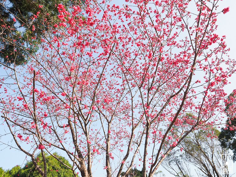 角板山行館