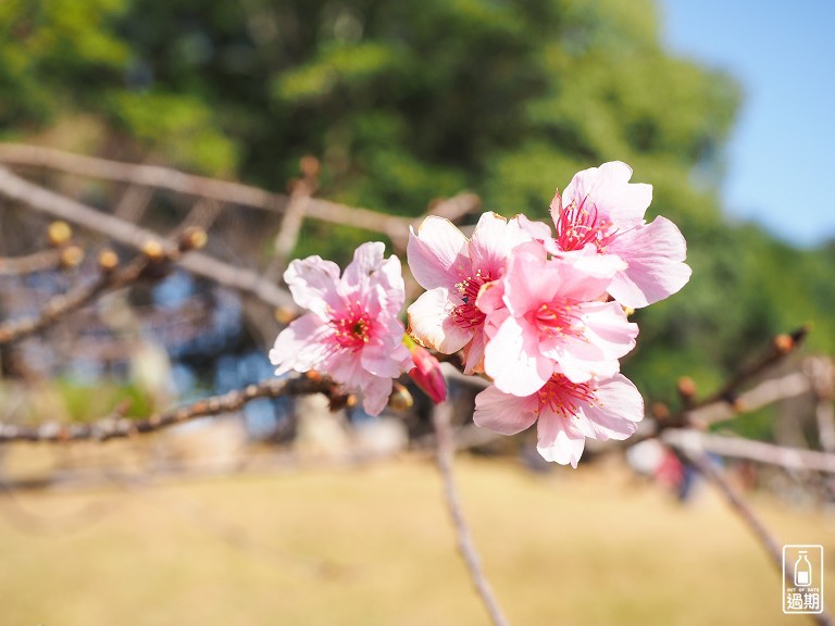 角板山行館