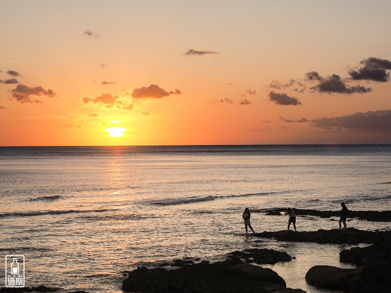 萬里桐夕陽