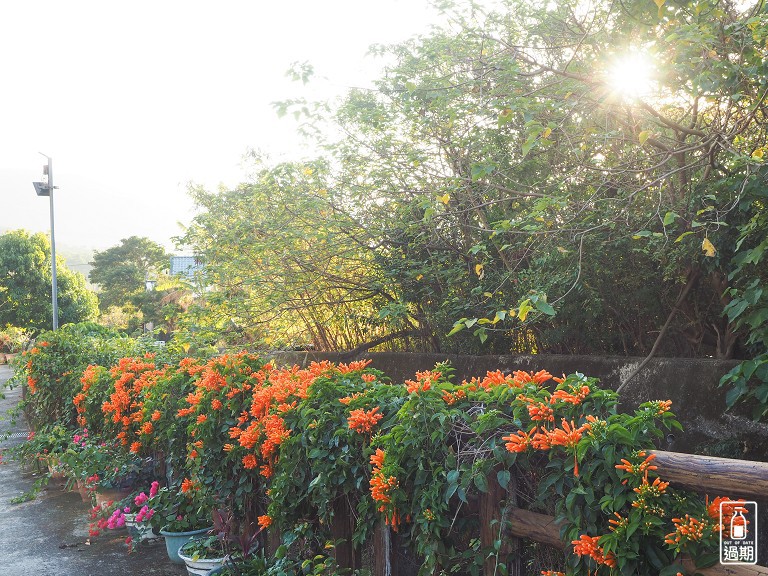 華園露營區