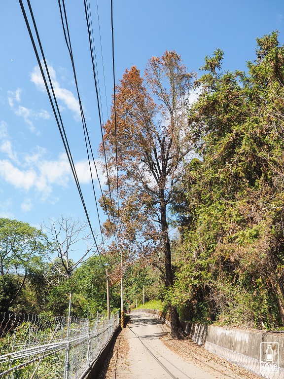 風露營