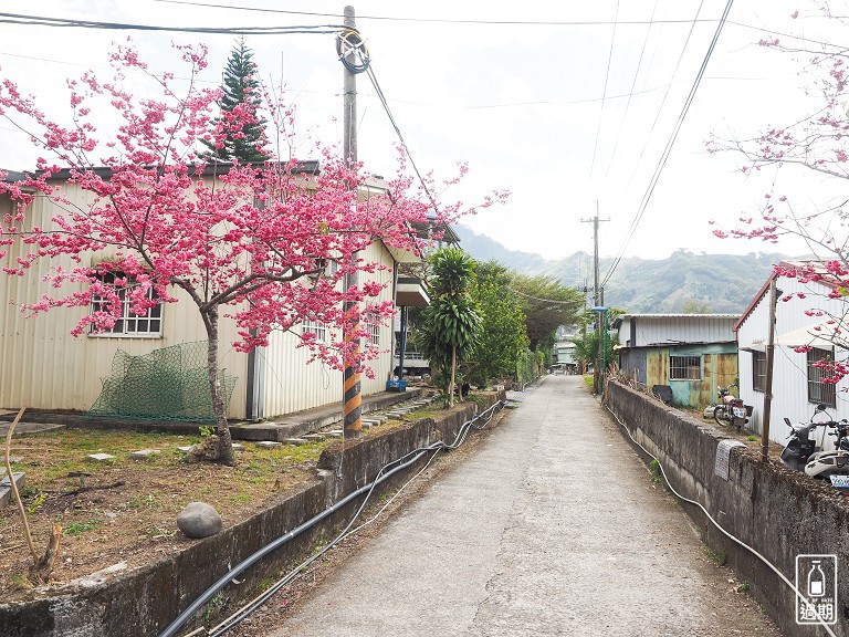 風露營