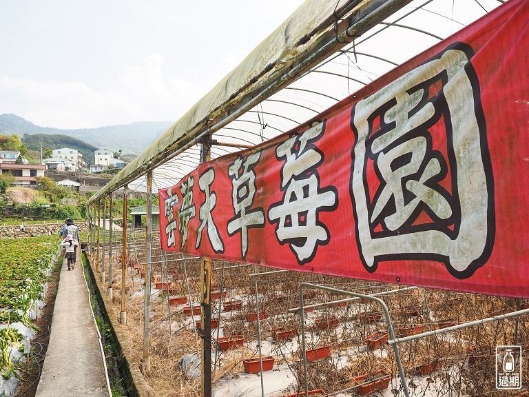 雲夢天草莓園