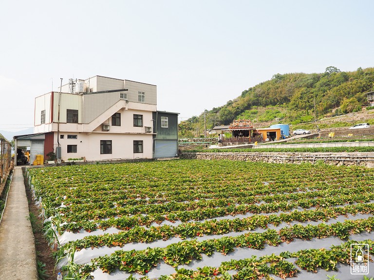 雲夢天草莓園