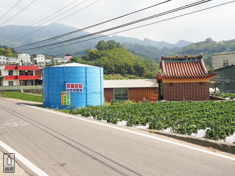 雲夢天草莓園