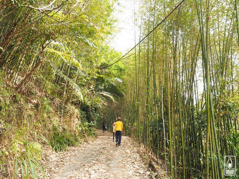 楓葉情露營區