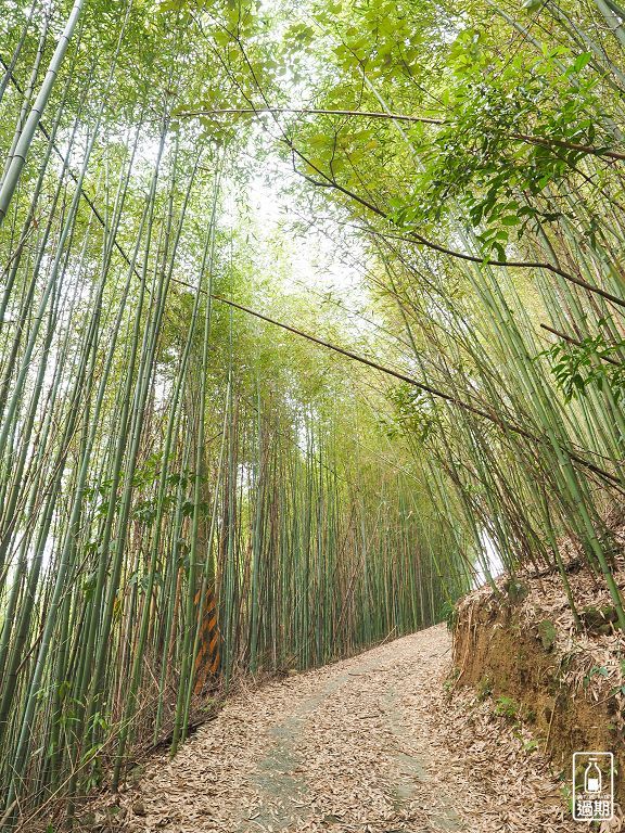 楓葉情露營區