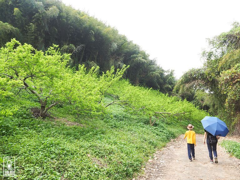 楓葉情露營區