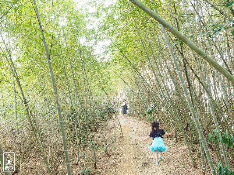 大巃頂步道