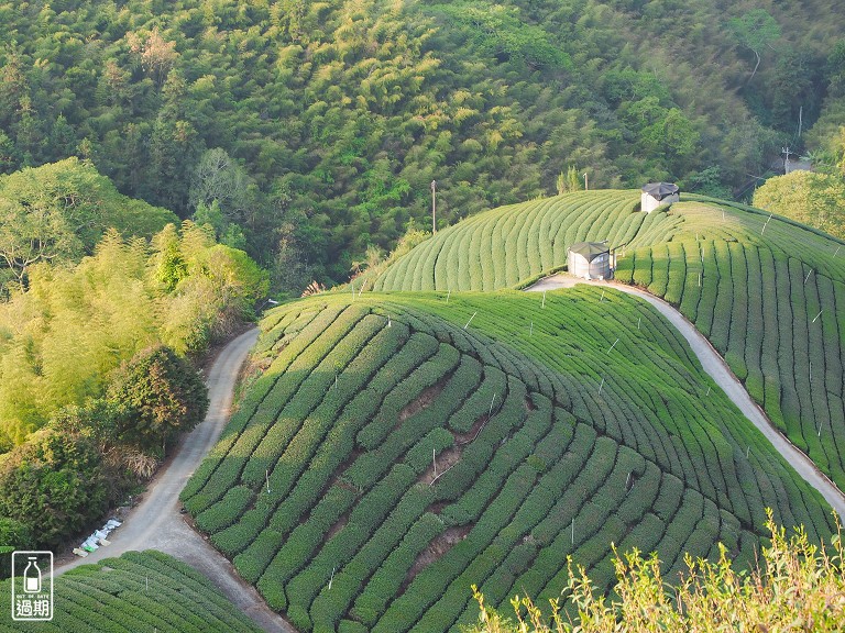 大巃頂步道