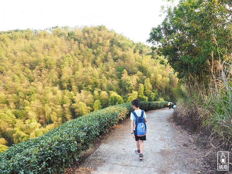 大巃頂步道