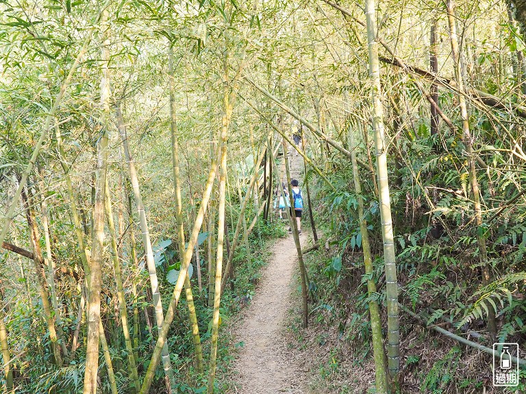 大巃頂步道