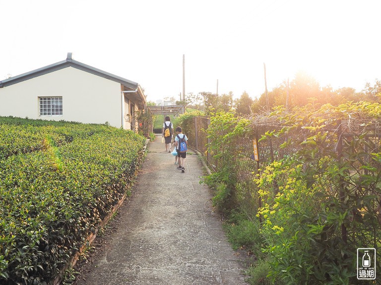 大巃頂步道