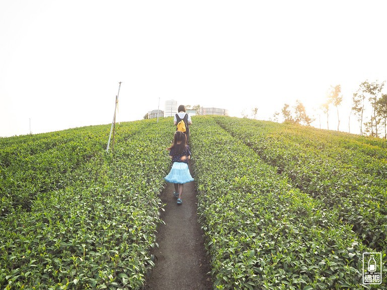 太坪珍寶私房菜