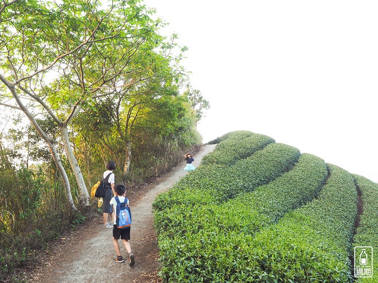 大巃頂步道