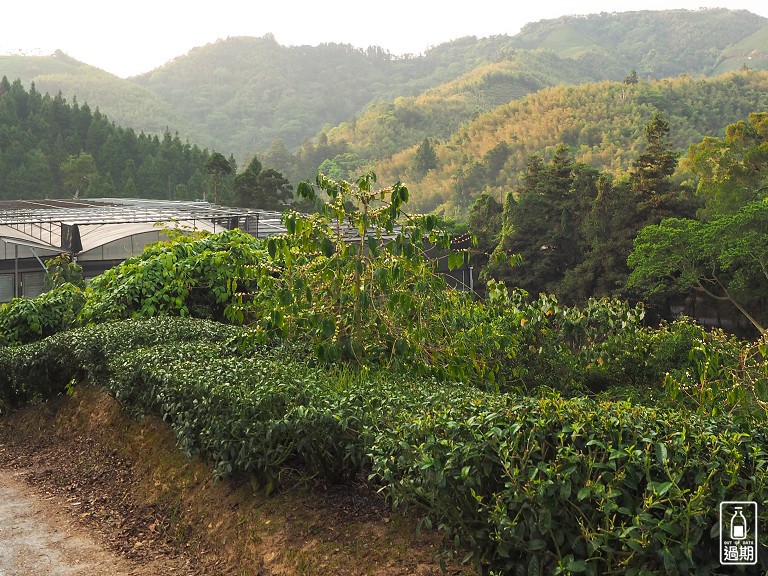 太坪珍寶私房菜