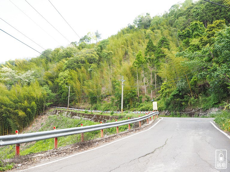 司馬庫斯神木群步道