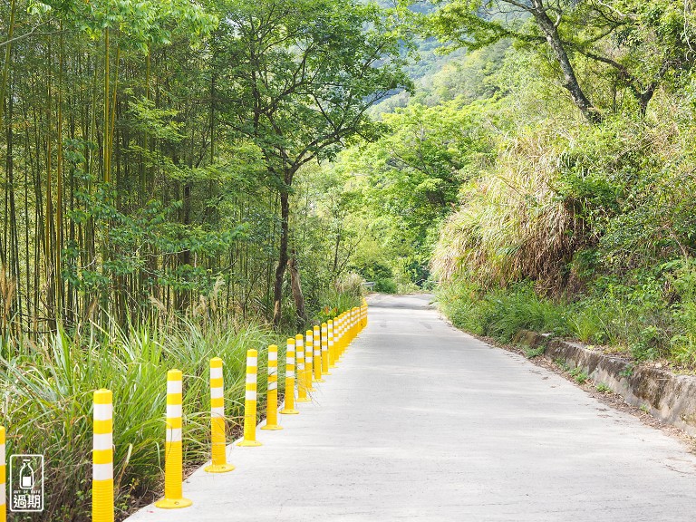 司馬庫斯神木群步道