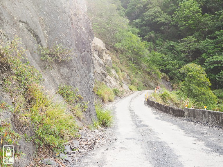 司馬庫斯神木群步道