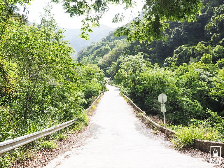 司馬庫斯神木群步道