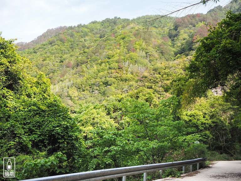 司馬庫斯神木群步道