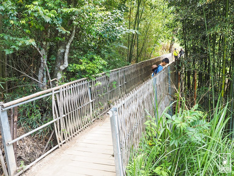 司馬庫斯神木群步道