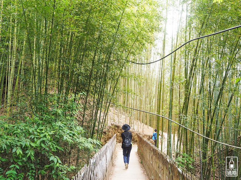 司馬庫斯神木群步道