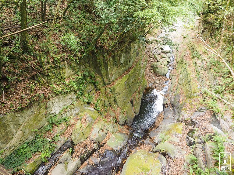 司馬庫斯神木群步道