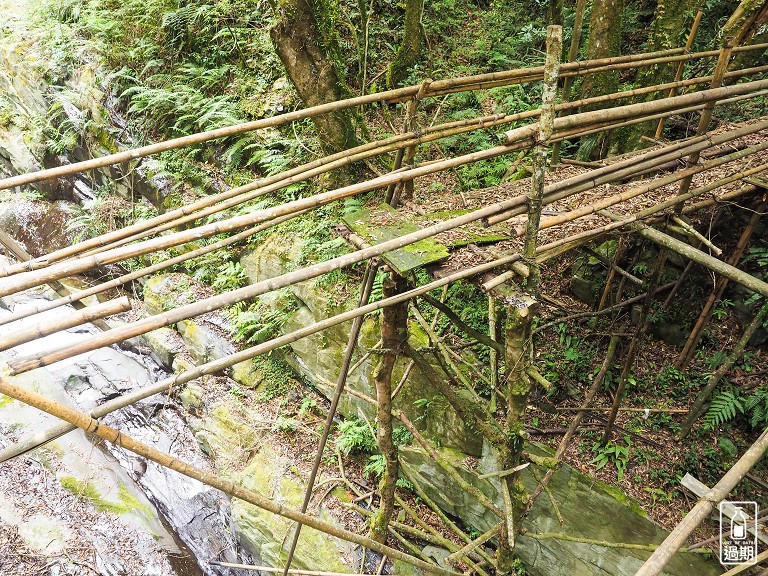 司馬庫斯神木群步道