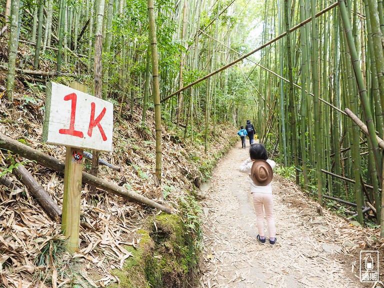 司馬庫斯神木群步道