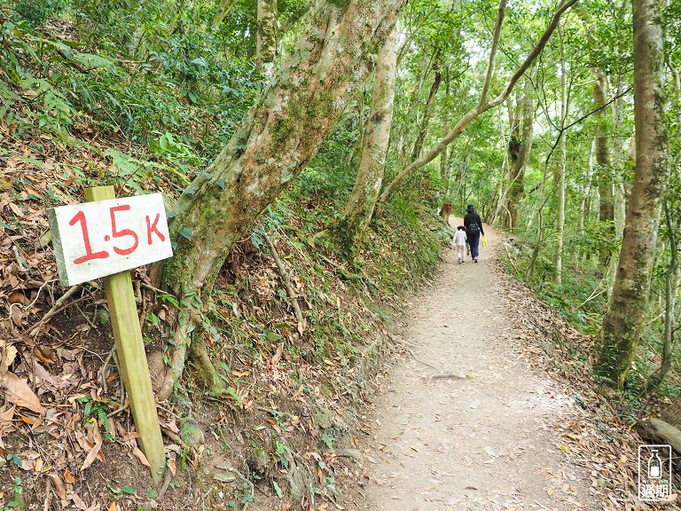 司馬庫斯神木群步道