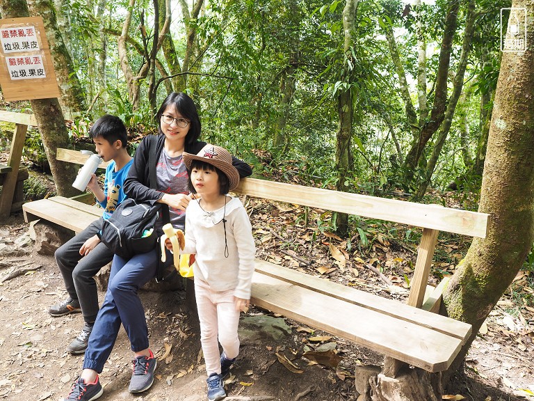 司馬庫斯神木群步道