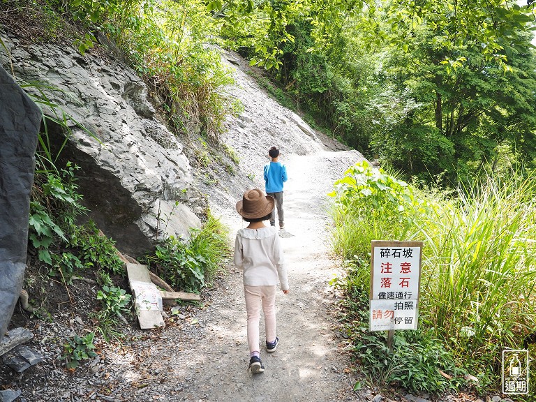 司馬庫斯神木群步道