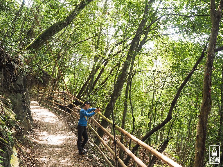 司馬庫斯神木群步道